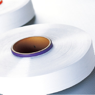 Sợi filament Polyester FDY 300D/96F 600D/192F SD RW
